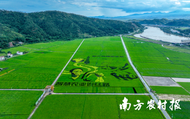 幸运飞艇(中国)开奖记录查询站
东源县柳城镇东源万绿智慧无人农场