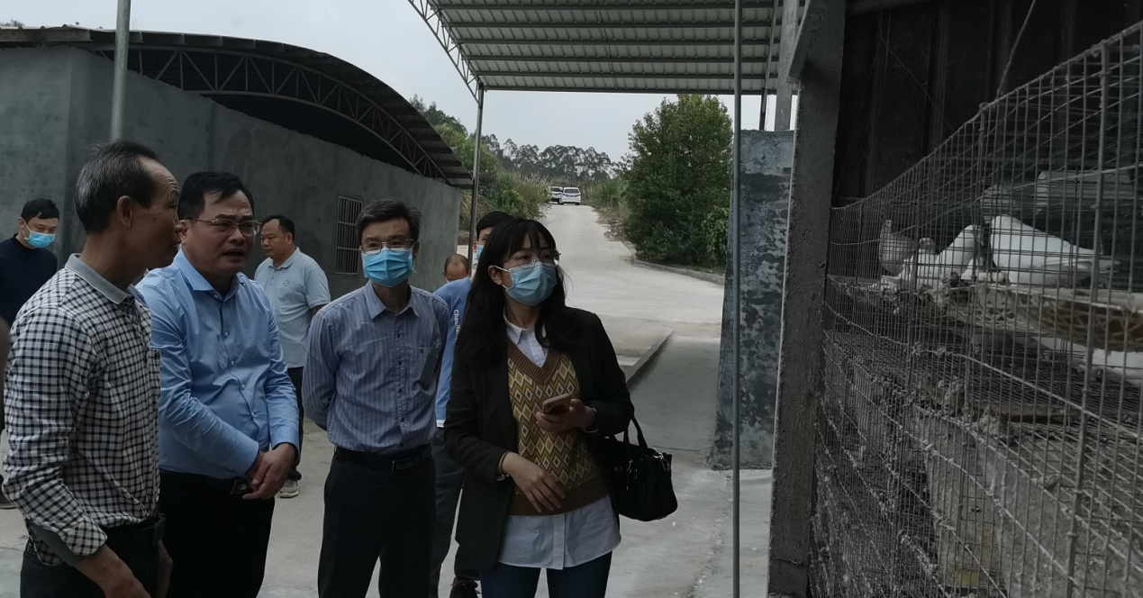 图片2.jpg