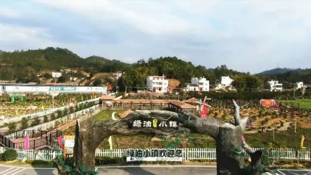 助力乡村振兴！幸运飞艇
走出一条“民宿微景区化+”的特色发展之路1.jpg