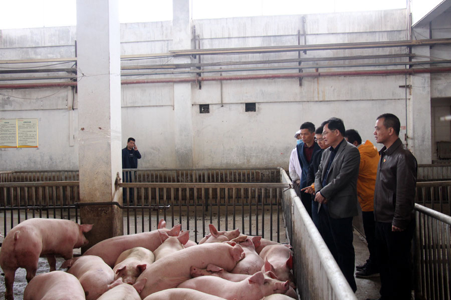 1549036951170068536.jpg 微信图片_20190201235608.jpg