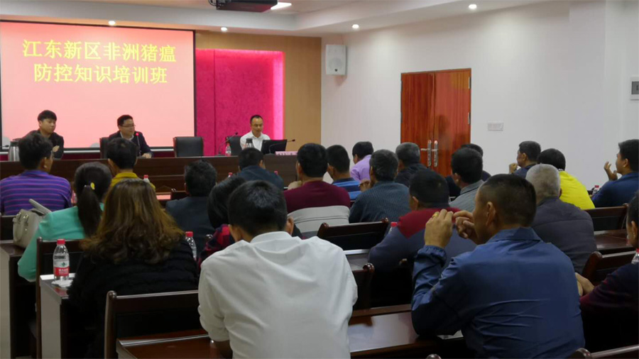 1555661337518008657.jpg 006.jpg