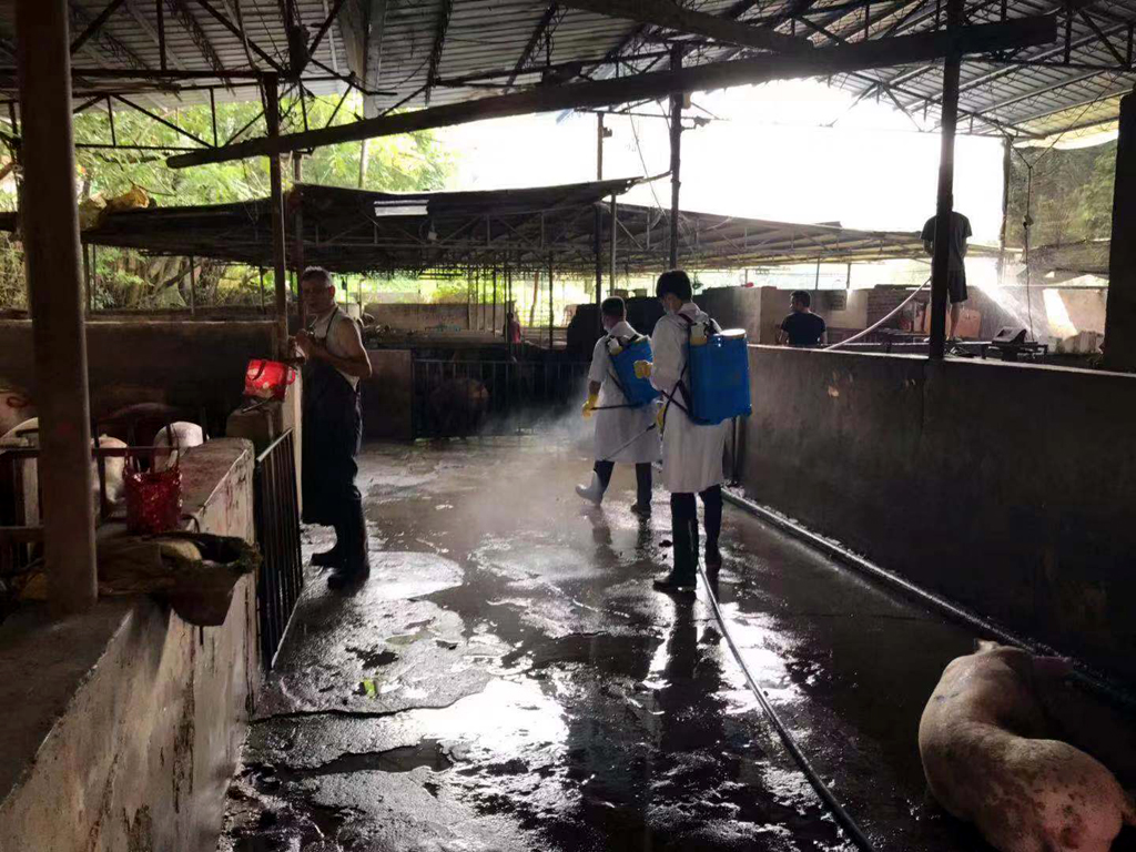 1568187038536002914.jpg C:UsersPPAPDesktop